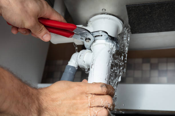 Best Professional water damage repair  in Robert Lee, TX