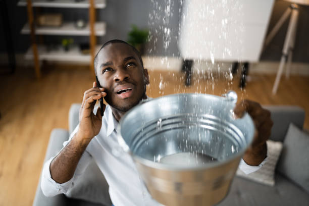 Best Carpet water damage restoration  in Robert Lee, TX