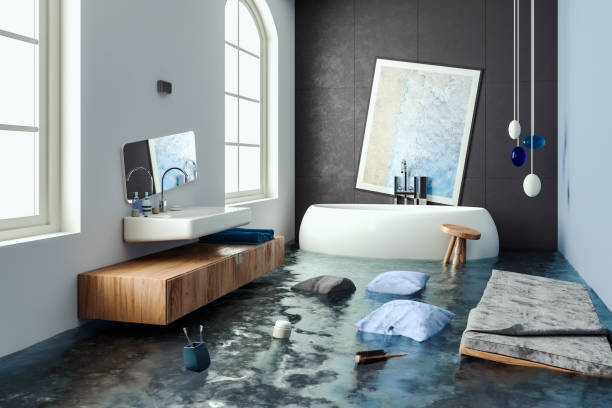 Best Water damage restoration near me  in Robert Lee, TX