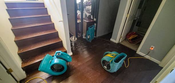 Best Fire Damage Restoration  in Robert Lee, TX
