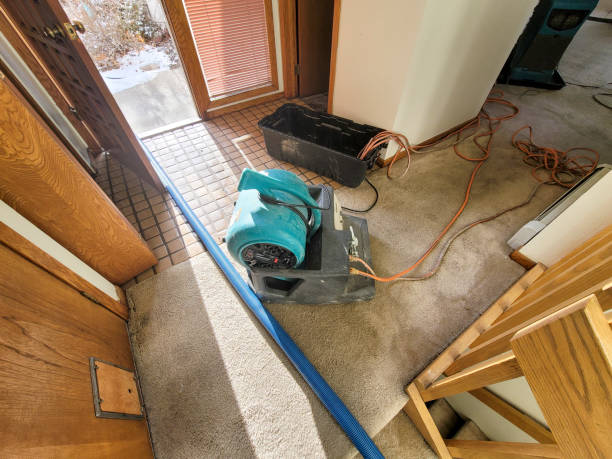 Sewage cleanup and water damage restoration in Robert Lee, TX