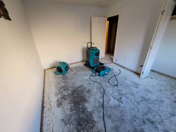  Robert Lee, TX Water damage restoration Pros