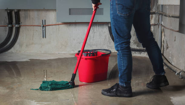 Reliable Robert Lee, TX Water damage restoration Solutions
