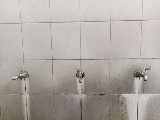 Best Commercial water damage restoration  in Robert Lee, TX