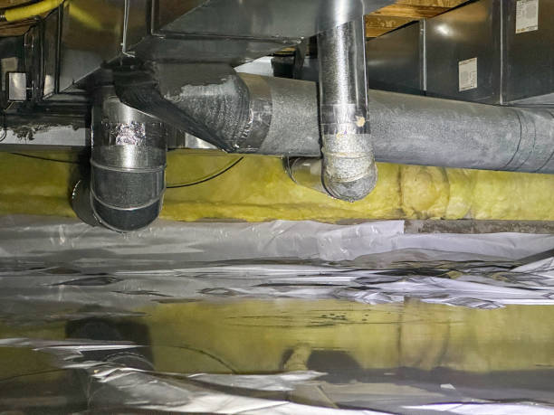 Best Ceiling water damage repair  in Robert Lee, TX