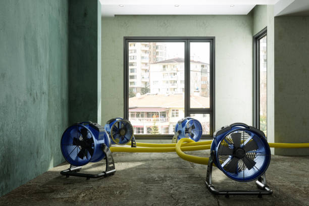 Best Commercial water damage restoration  in Robert Lee, TX